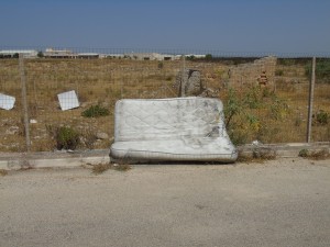 DSC00019