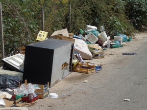 DSC00024