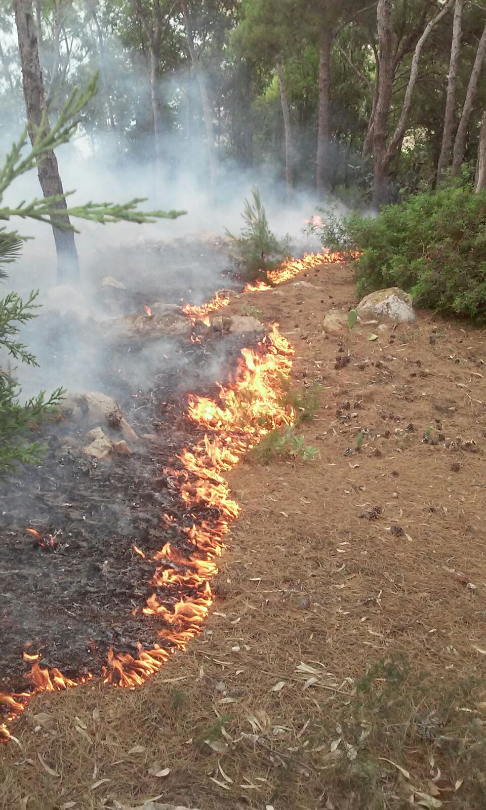 incendio4