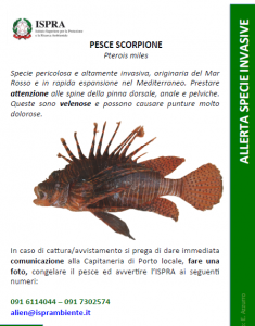 ispra-pesce-scorpione