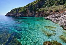 Lo Zingaro riapre dopo l’incendio del 2025, Fausto: «Segnale importante» (Intervista)