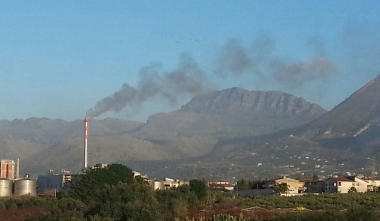 distilleria-bertolino