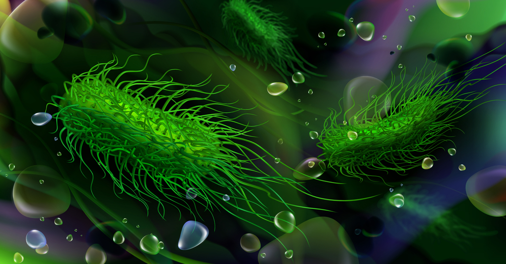 Green rod-shaped Salmonella bacteria. Vector illustration