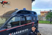 Palermo saluta Ron, il cane antidroga dei Carabinieri va in pensione