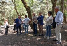 Funtanazza di Alcamo, non è più tempo di promesse. Ieri il sopralluogo di Quinci