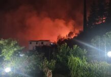 Notte di fuoco a Montelepre, case evacuate e cittadini in ostaggio delle fiamme