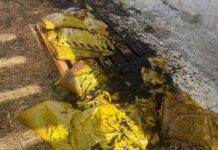 Vandali nella sede del Comune di Misiliscemi, danneggiati materiali per le strade