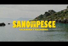 ‘Sano come un pesce’, on line il nuovo videoclip dei Calandra & Calandra (Intervista)