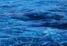 Bimba sfugge al controllo e cade in piscina: muore a 3 anni a Palermo, indaga la Procura
