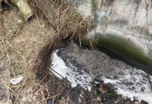 Scarichi dal depuratore nel torrente Canalotto, allarme per l’acqua torbida